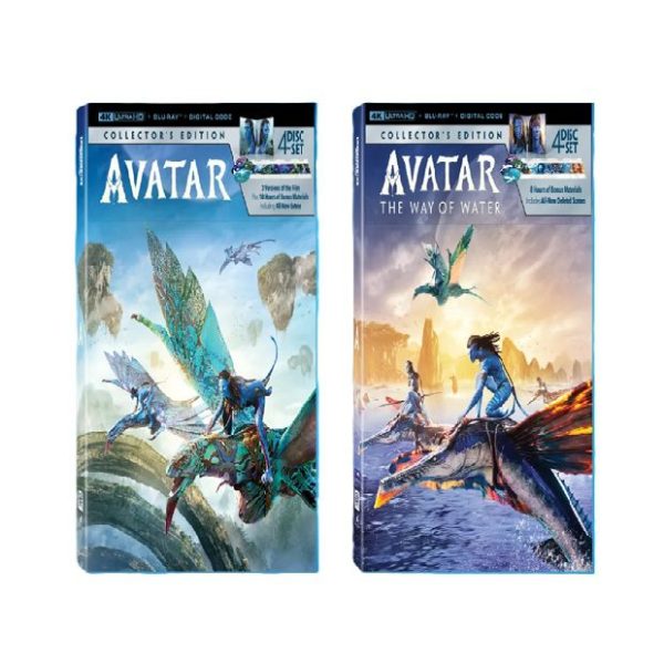 Avatar set wp
