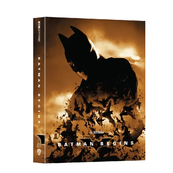 Batman Begins Manta FS WP